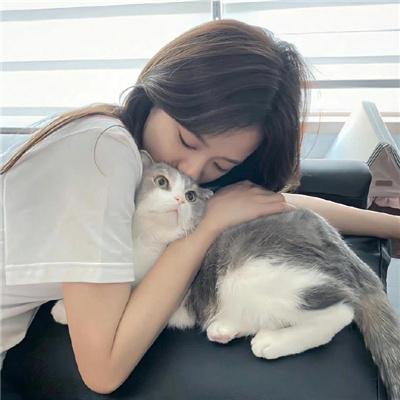 政治之爱